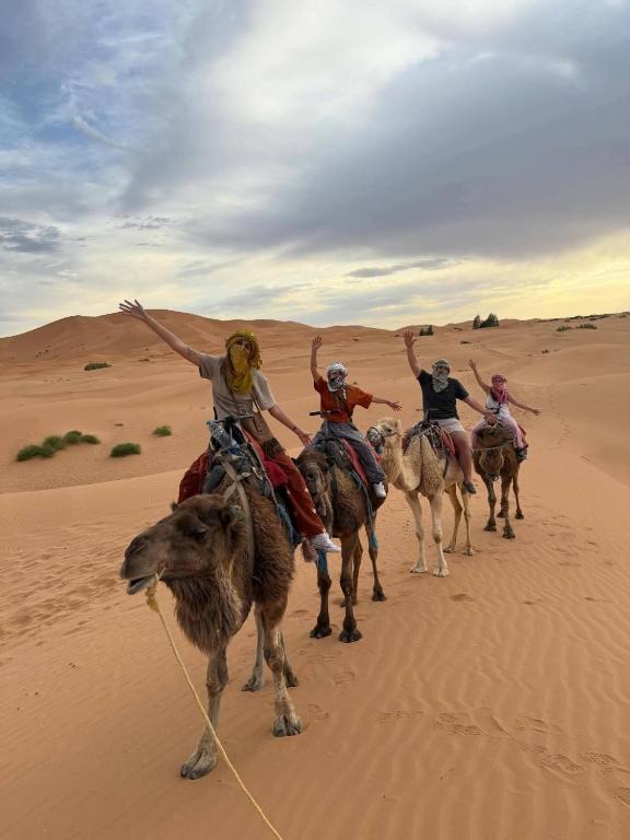 Camel trek