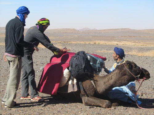 Travelers with Let's Explore Morocco