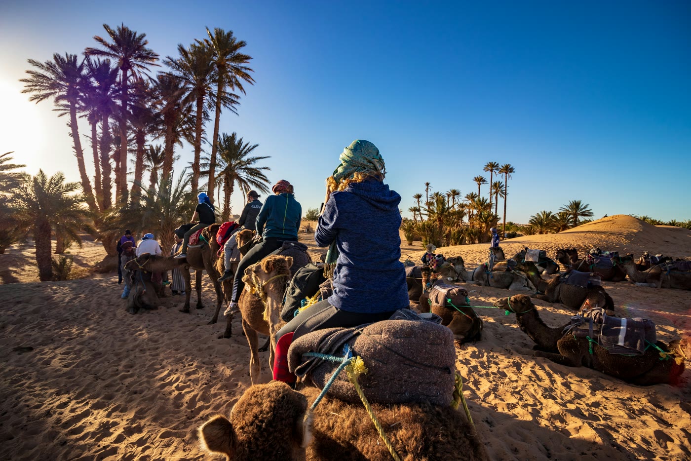 Camel trek in the Sahara desert, Morocco