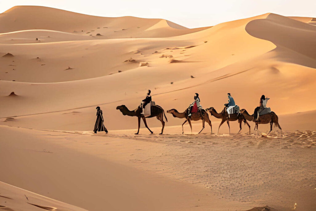Discover the Magic of Morocco with Customized Tours & Excursion